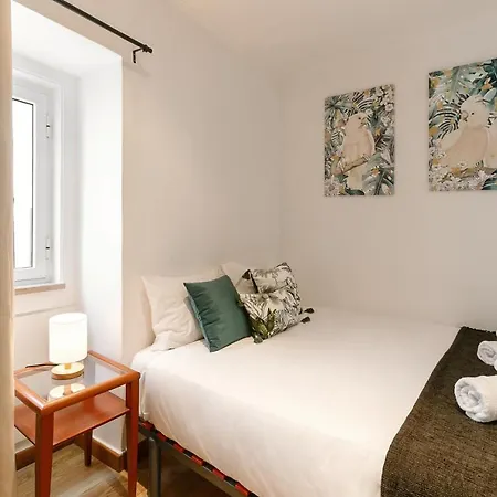 Apartment Metamorphosis